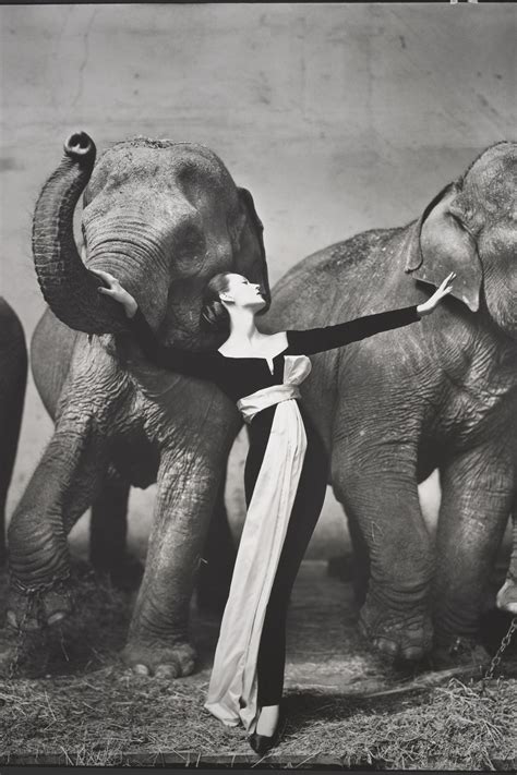 Richard Avedon, a Palazzo Reale la mostra che 